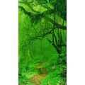 高清风景1771