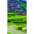 高清风景1772