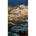 高清风景1785
