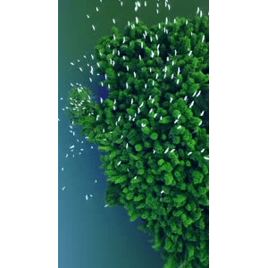 高清风景1786