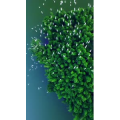高清风景1786