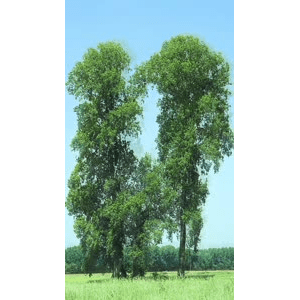 高清风景1801