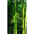 高清风景1809