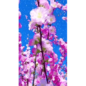 高清风景1817
