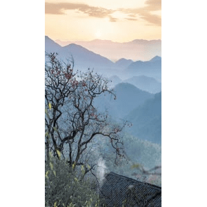 高清风景165