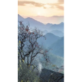 高清风景165