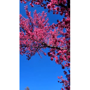 高清风景1820