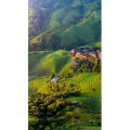 高清风景1824