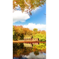 高清风景1831