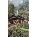 高清风景1842