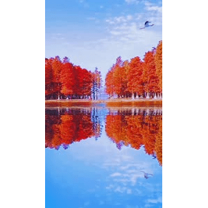 高清风景1849
