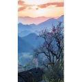 高清风景1861