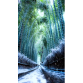 高清风景1869