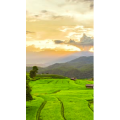 高清风景1879