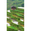 高清风景1893