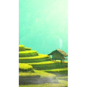 高清风景1898