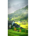 高清风景1904