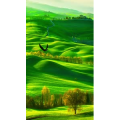 高清风景1943