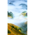 高清风景1946