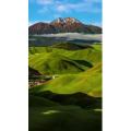 高清风景1955