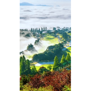 高清风景1964