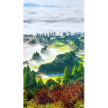 高清风景1964