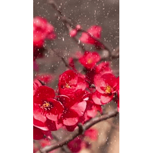 高清风景1973