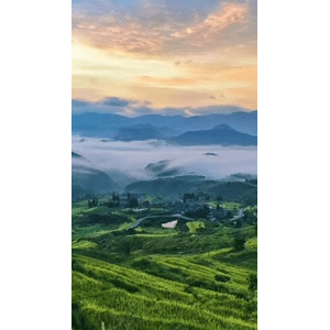 高清风景1978