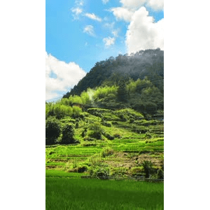 高清风景1981