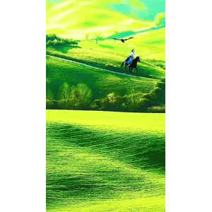 高清风景1985