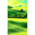 高清风景1985