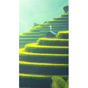 高清风景1991