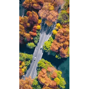 高清风景1999