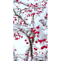 高清风景2000