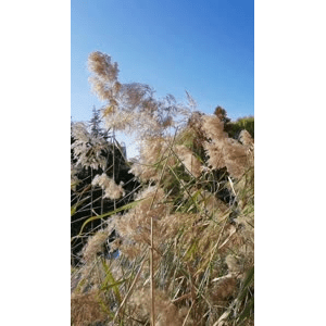 高清风景2011