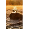 高清风景2026