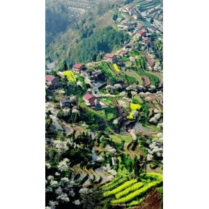 高清风景2027