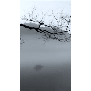 高清风景2028