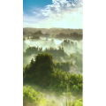 高清风景2030