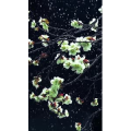 高清风景2046