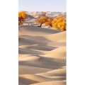 高清风景2056