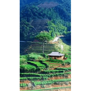 高清风景2069