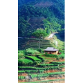高清风景2069