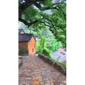 高清风景2079