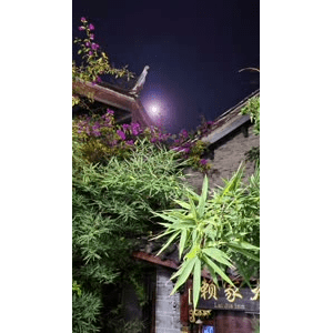 高清风景2083