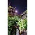 高清风景2083