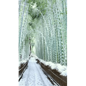 高清风景2088