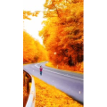 高清风景2092