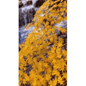 高清风景2098