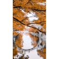 高清风景2099